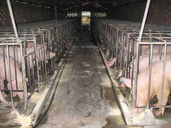 �����ȑ�(y��ng)�����ʽ�ӽ��_(k��i)�P(gu��n)